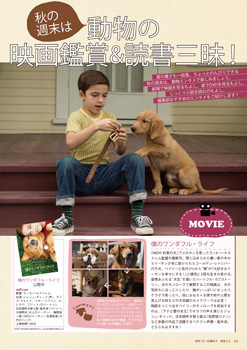 編集部おすすめページ