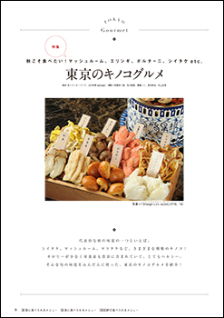編集部おすすめページ