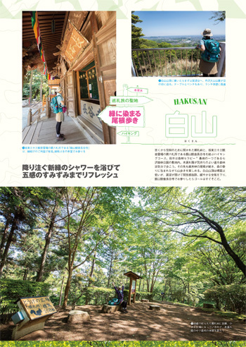 編集部おすすめページ